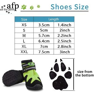 All for Paws Outdoor All Road cipele za pse M / 2 para - Image 2